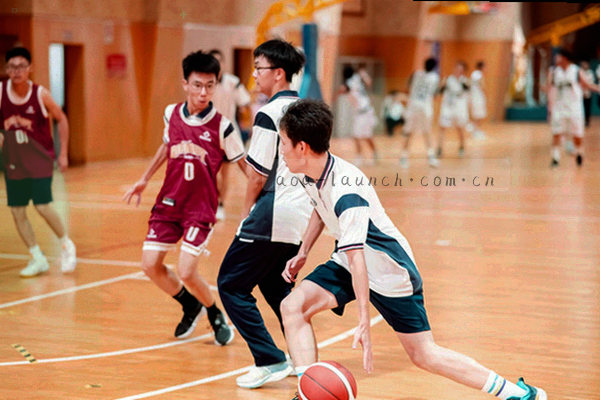 手机屏幕显示AOA体育界面的抽象示意图